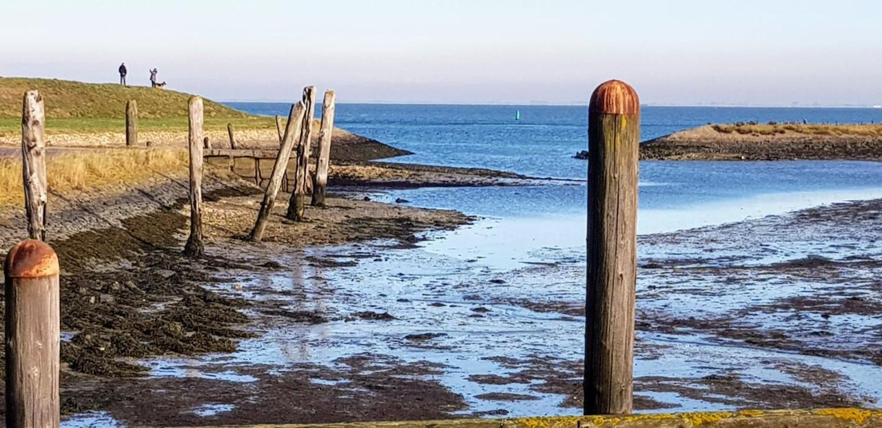 Hofstede 'S Gravenhoek Wissenkerke Exterior foto